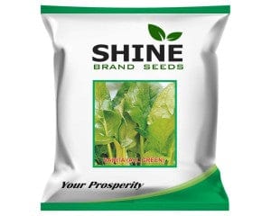 Shine Brand Seeds Sarita (All Green) Spinach Seeds, 500gms