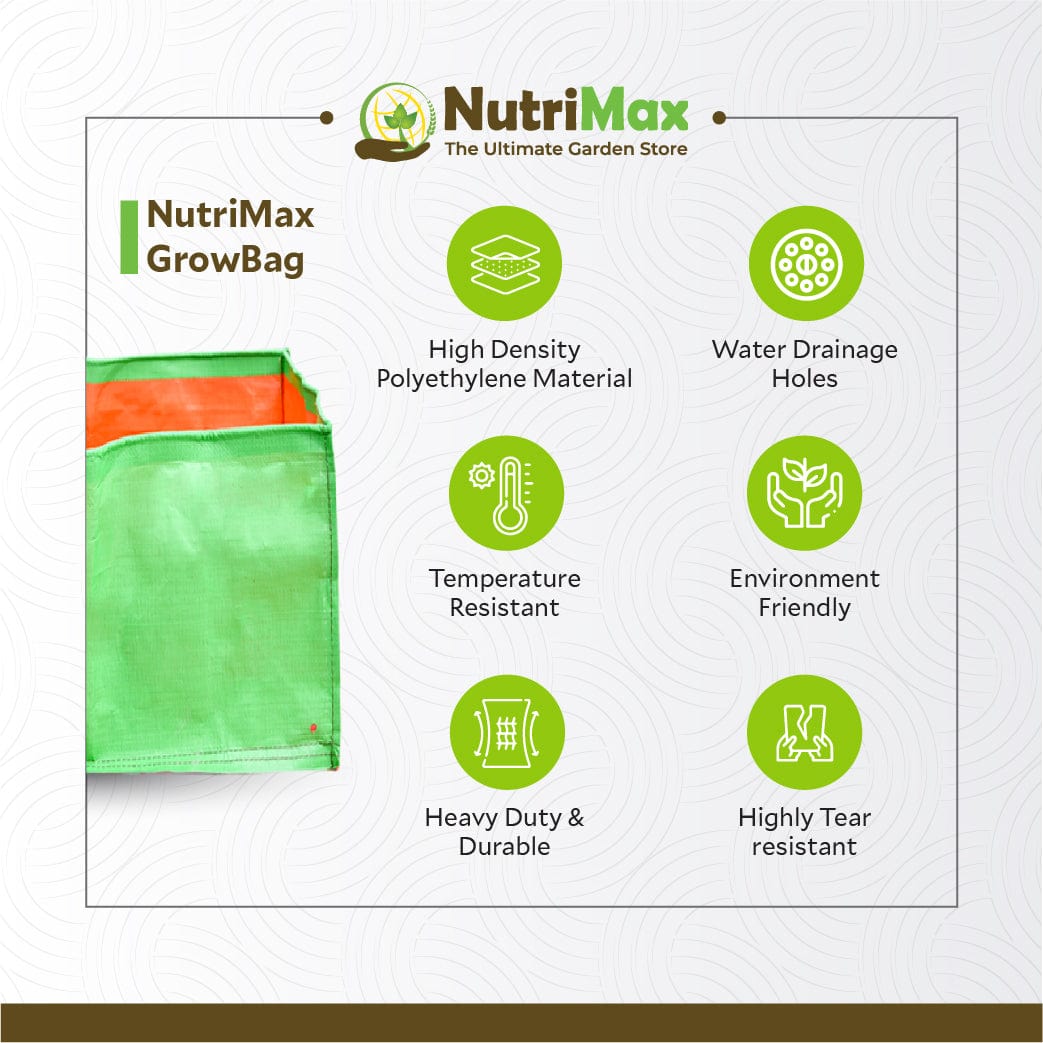 Nutrimax 200 GSM HDPE Grow Bags 18 x18 x 8 inch Outdoor Plant Bag