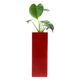 Magnetic Hydroponic or Artificial Plants Holder