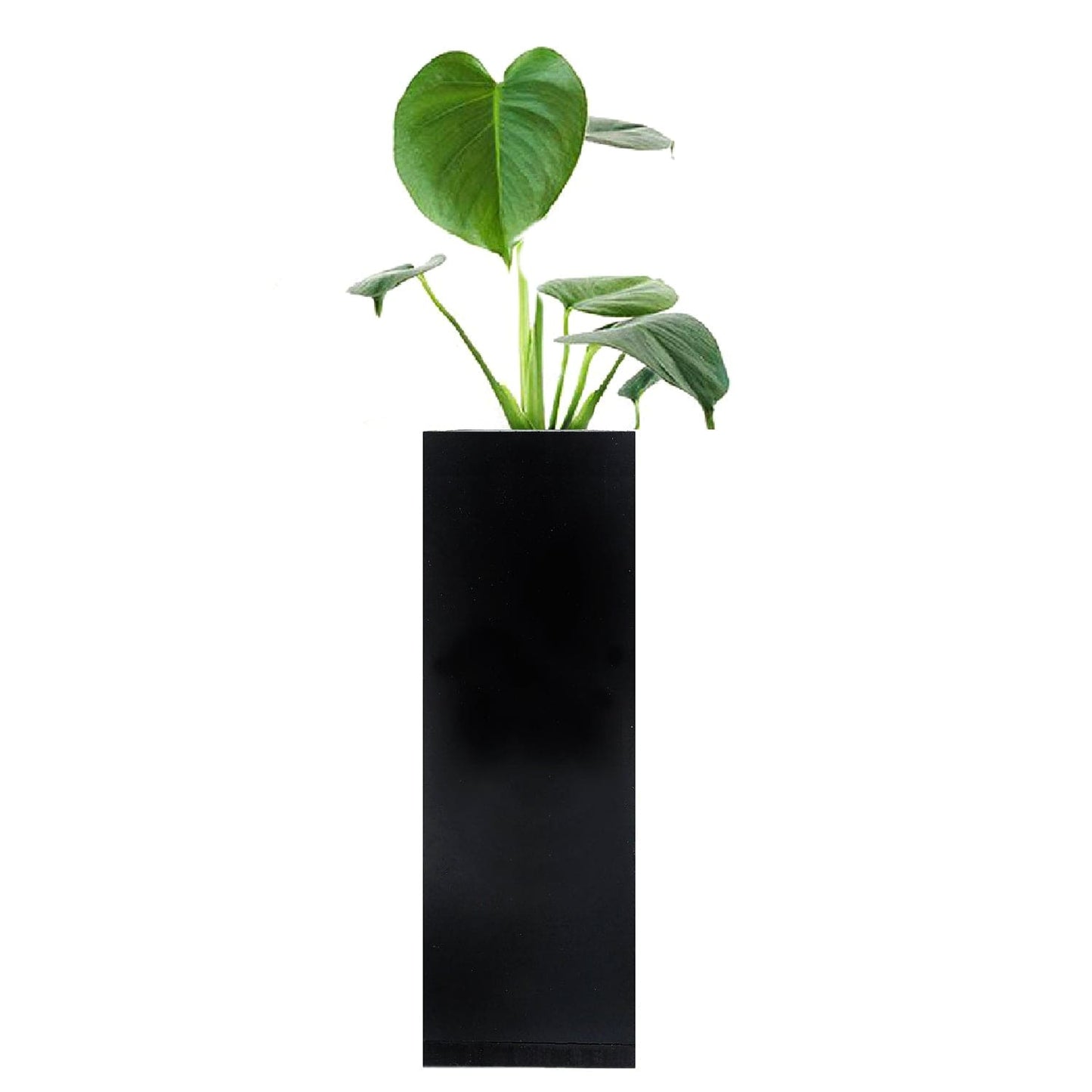 Magnetic Hydroponic or Artificial Plants Holder