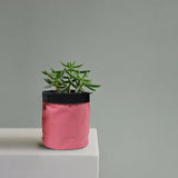 5 inch Cotton Pink Pot Planter Bag