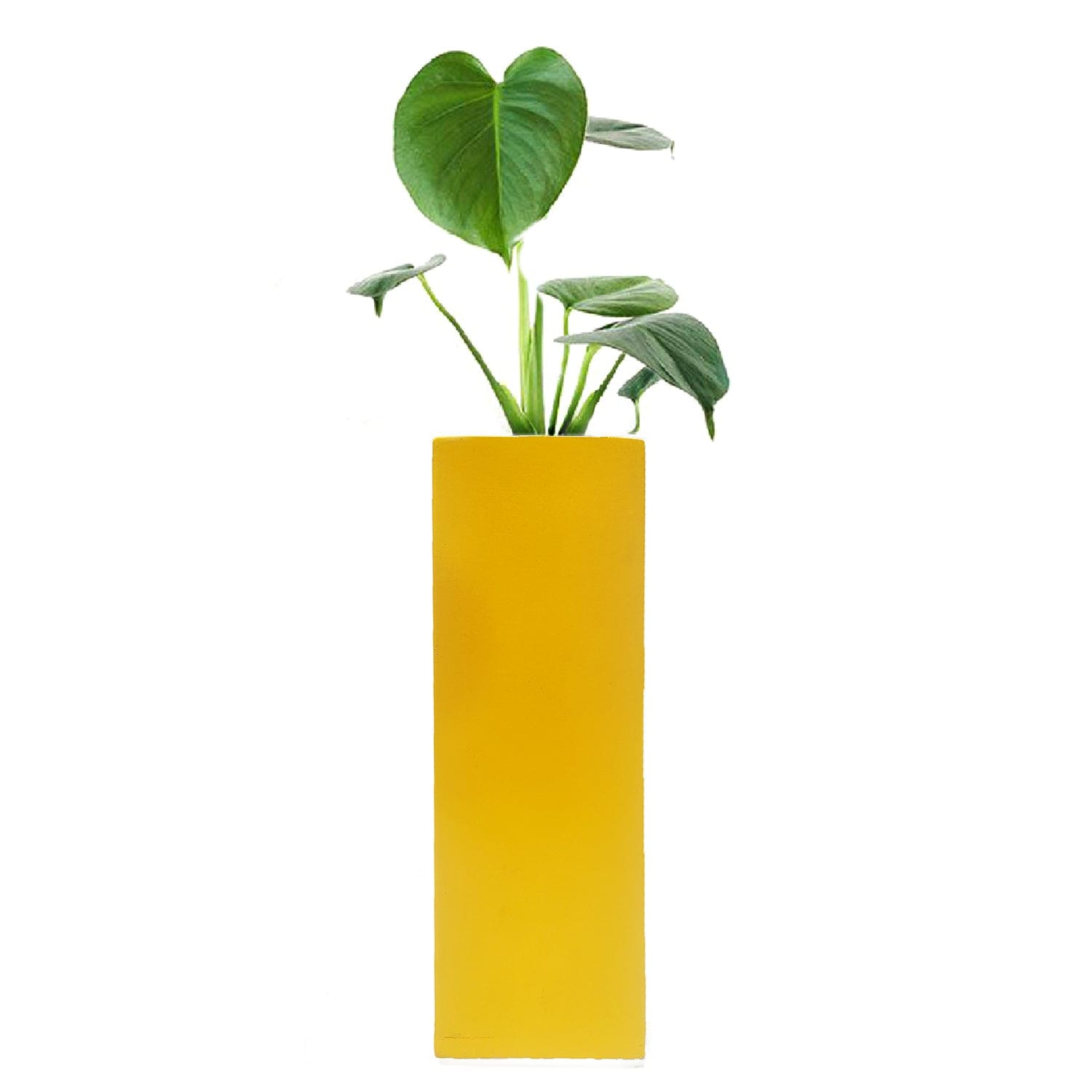 Magnetic Hydroponic or Artificial Plants Holder
