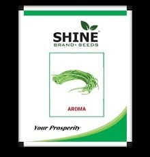 Shine Brand Seeds Yard Long Bean Aroma/ Barbatti Seeds