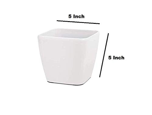 VGreen Garden Square Table Top Plastic Planter (Set of 6)