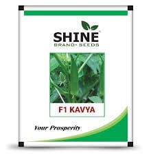 Shine Brand Seeds Okra- F1 Kavya/ Bhendi Seeds