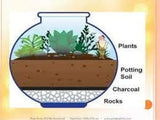 Elysian Horticultural Charcoal for Potting