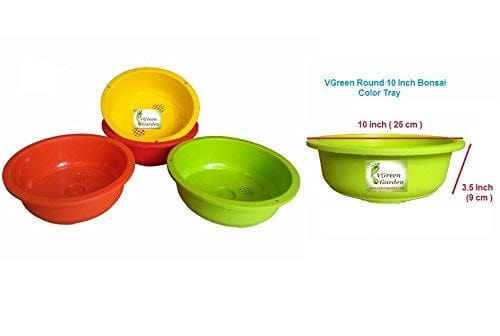 VGreen Multicolour Garden Bonsai Tray 10 Inches (3 Piece)