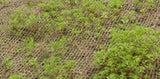 Mats Avenue Multi Purpose Woven Coir Geo Textiles for Gardening (200 cm x 100 cm)