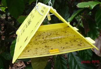 Sk Agrotech Delta Sticky Insect pheromone Trap Used for brinjal Shoot Borer & Tomato Leaf Miner