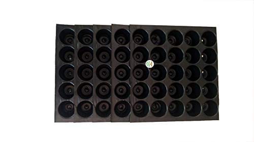 Mats Avenue Plastic Reusable Seedling Tray with 25 Holes (Pack of 5)
