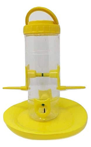 Buy Premium Yellow Bird Feeder (Medium) at Best Price in India