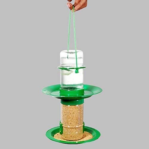 Amijivdaya Bird Food And Water Feeder (Medium)