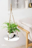 Tier-1 Round Wood Floating Shelves With Rope