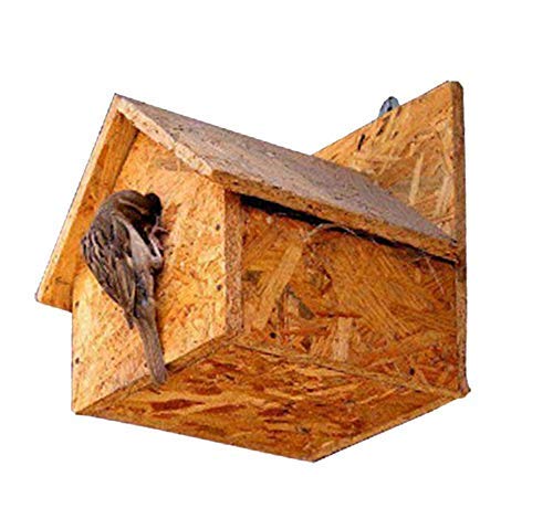 Amijivdaya Wooden Bird House