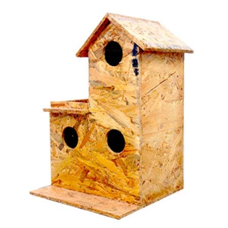 Amijivdaya Wooden Water-Resistant Sparrow House