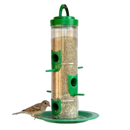 Amijivdaya Bird Feeder (Large) - Pack of 1