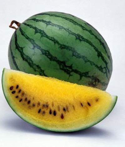 RPG Rare Watermelon Fruit Seed "Yellow Crimson" Exotic (10 Seeds)
