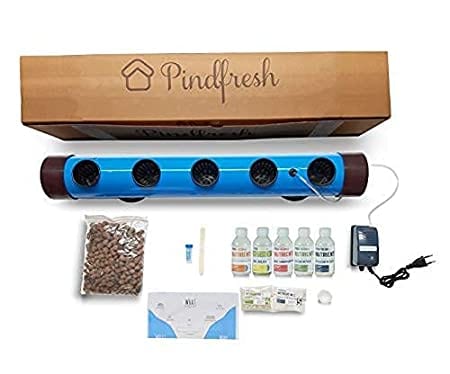 Pindfresh Hydroponic Kit For Home (Seeds Included)