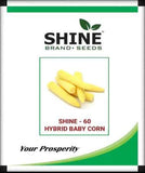 Shine Brand Seeds Shine 60 Hybrid Baby Corn/ Maize Seeds (500 Grams)
