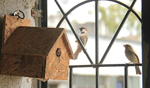 Amijivdaya Wooden Bird House