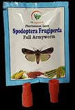 Sk Agrotech Spodoptera Frugiperda- Fall Armyworm pheromone Lure Used In Maize Crop, Lure Field Life 45 Days