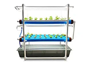 Pindfresh NFT Hydroponic Kit with Grow Ligths (For 54 Leafy Greens)
