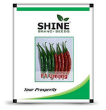 Shine Brand Seeds Umang F1 Chilli/ Mirchi Seeds (10 Grams)