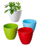 VGreen Garden Cactus Table Top Planter (Set of 5)