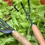 FreshDcart Gardening Tool Set (Cultivator, Trowel & Gardening Fork)
