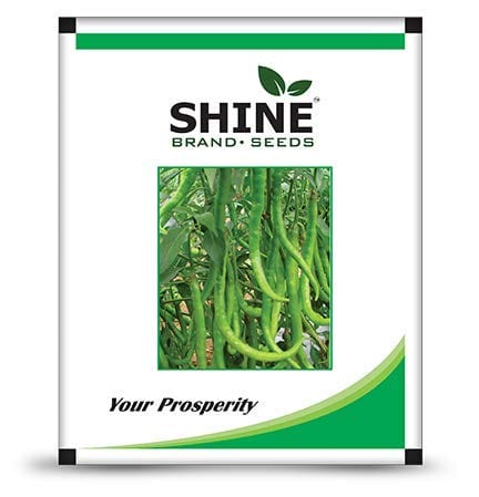 Shine Brand Seeds F1 Shine 610 Hybrid Chilli/ Mirchi Seeds (10 Grams)