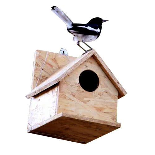 Amijivdaya Wooden Water-Resistant Bird Home