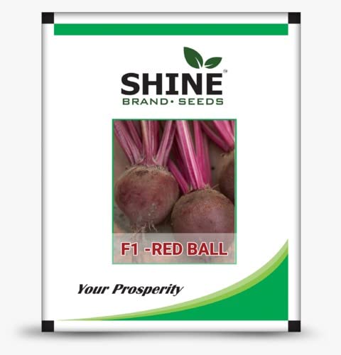 Shine Brand Seeds F1 Beet Root/ Chukandar Seeds (50 Grams)