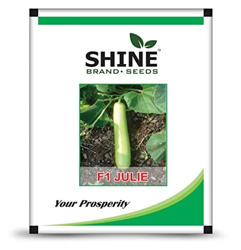 Shine Brand Seeds F1 Julie Bottle Gourd/ Lauki Seeds (50 Grams)