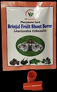 Sk Agrotech Leucinodes Orbonalis - Brinjal Shoot & Fruit Borer pheromone Lure
