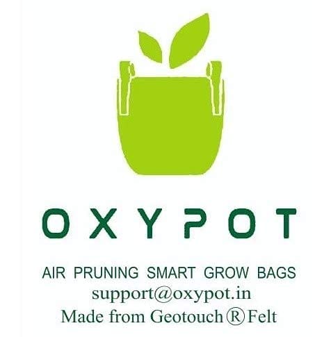 Oxypot 350 GSM Geo Fabric Grow Bags (12 X 12 Inches, Maroon)- Pack of 3