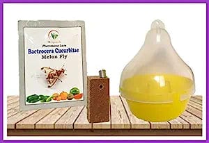 Sk Agrotech Bactrocera cucurbitae - Melon Fly pheromone Lure & mac Phill Trap Set