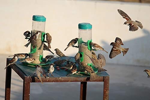 Amijivdaya Bird Feeder With Handle (Medium)