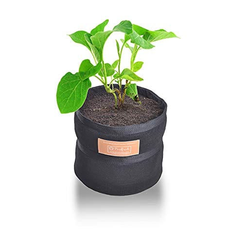 Pindfresh Soilless Gardening Grow Bag Combo 1 (Growbag, Growmix, Seeds and Nutrients)