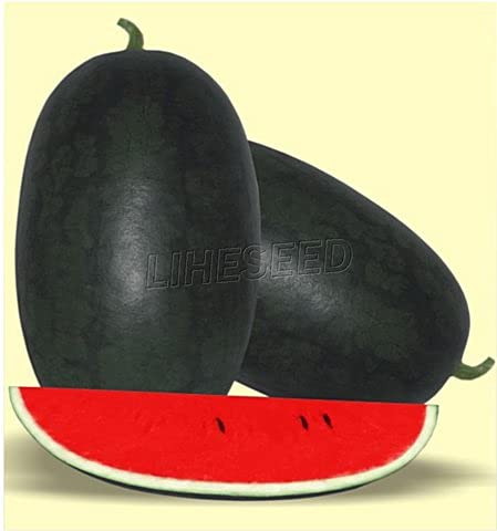 RPG Rare "Black Tail" Watermelon Fruit Seed (10 Seeds)