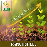 Panchsheel Fertilizer Enrich with Micronutrient Nutrients to Boost Growth (5 Kg)