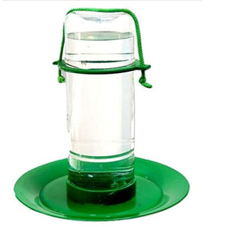 Water Feeder (Medium)