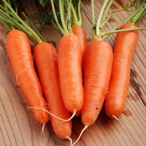 Aero Seeds English Carrot Vegetable Seeds (50 Seeds)