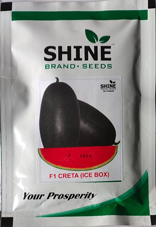 Shine Brand Seeds F1 Creta (Ice Box) Watermelon/ Tarbooj Seeds