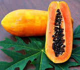 RPG Rare Papaya Fruit Seed "Honey Dew" 15 Fruit Seeds
