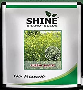 Shine Brand Seeds Mustard Surabhi Black/ Sarso Seeds (1 Kg)