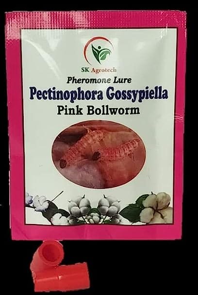 Sk Agrotech Pectinophora Gossyiella- Pink Bollworm Pheromone Lure & Funnel Trap