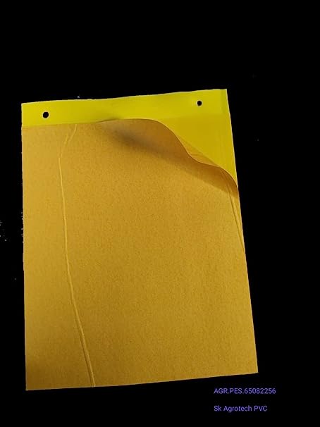 Sk Agrotech PVC Yellow Sticky Insect pheromone Trap Glue Trap, Pack of 25 Sheet