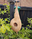 Mats Avenue Bird Nest with Hanging Hole Made Coconut Shell (5m)