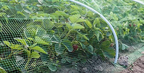 Efficacy Nylon High Quality Plant Protecting Net (10ftx15ft)