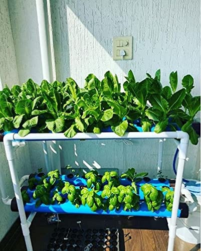 Pindfresh Hydroponics NFT System (For 54 Plants)